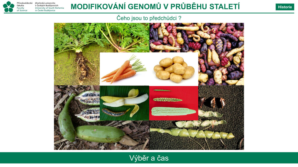 CO JE GMO? CO JE GMO?