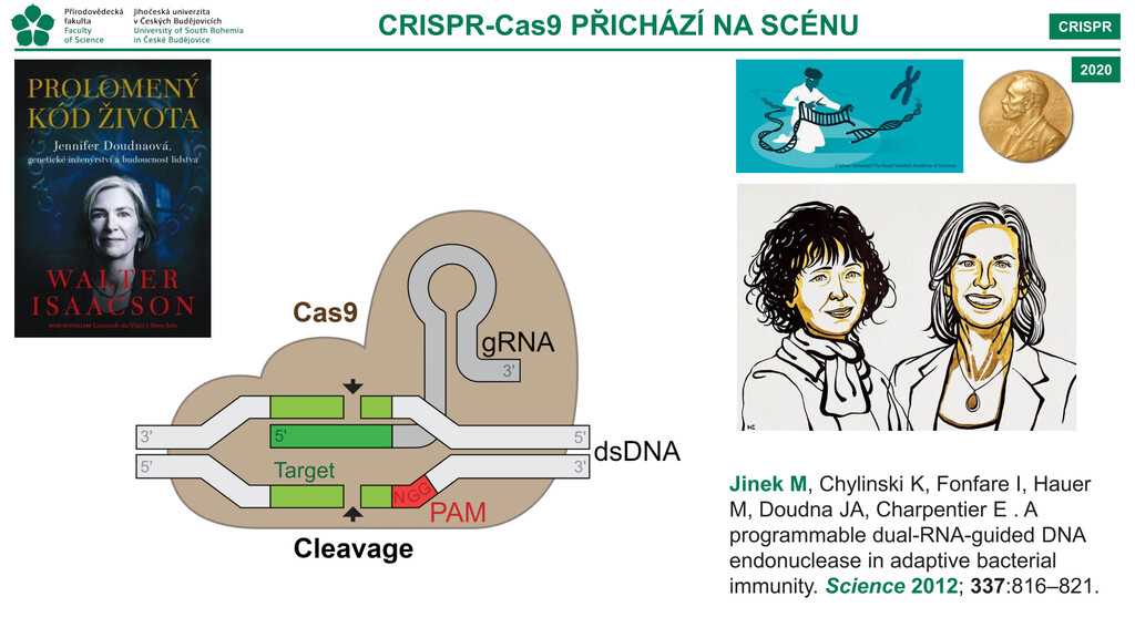 CO JE GMO? CO JE GMO?