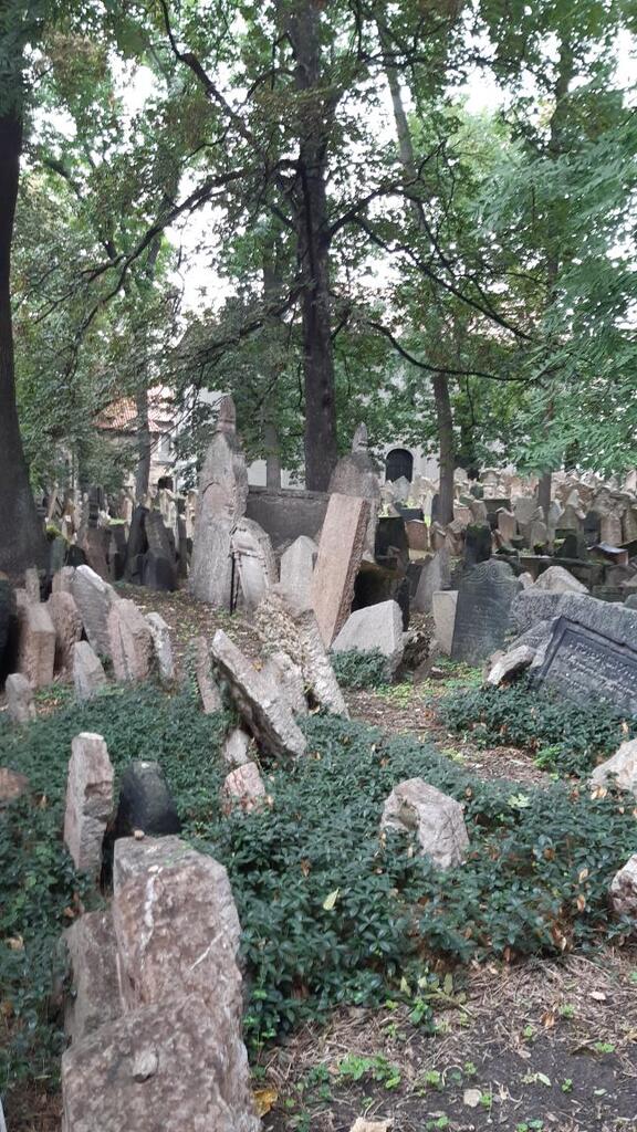DĚJINY UMĚNÍ V PRAXI DĚJINY UMĚNÍ V PRAXI