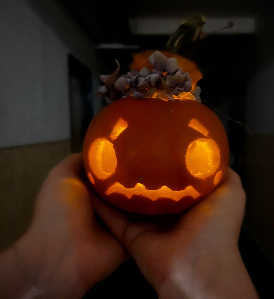 DÝŇOVÁNÍ na DM - 2. ročník