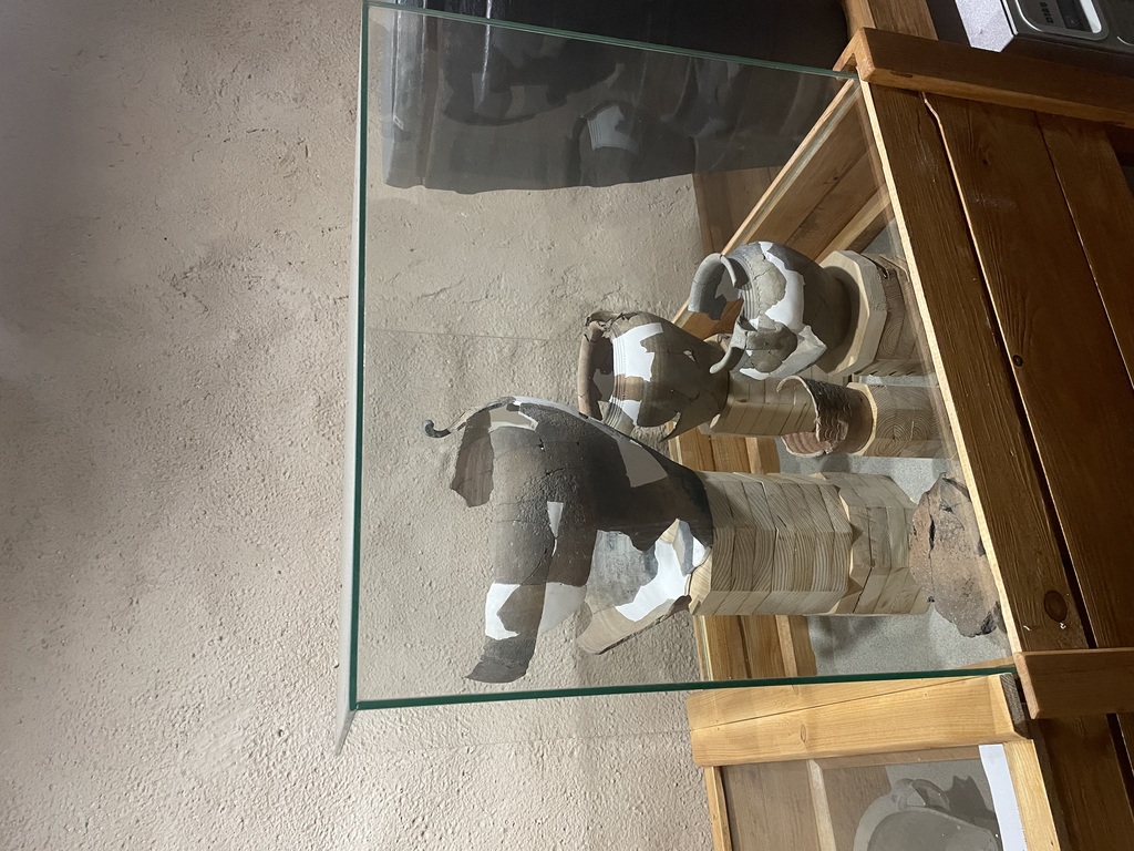 OBJEVOVÁNÍ VOLYNĚ