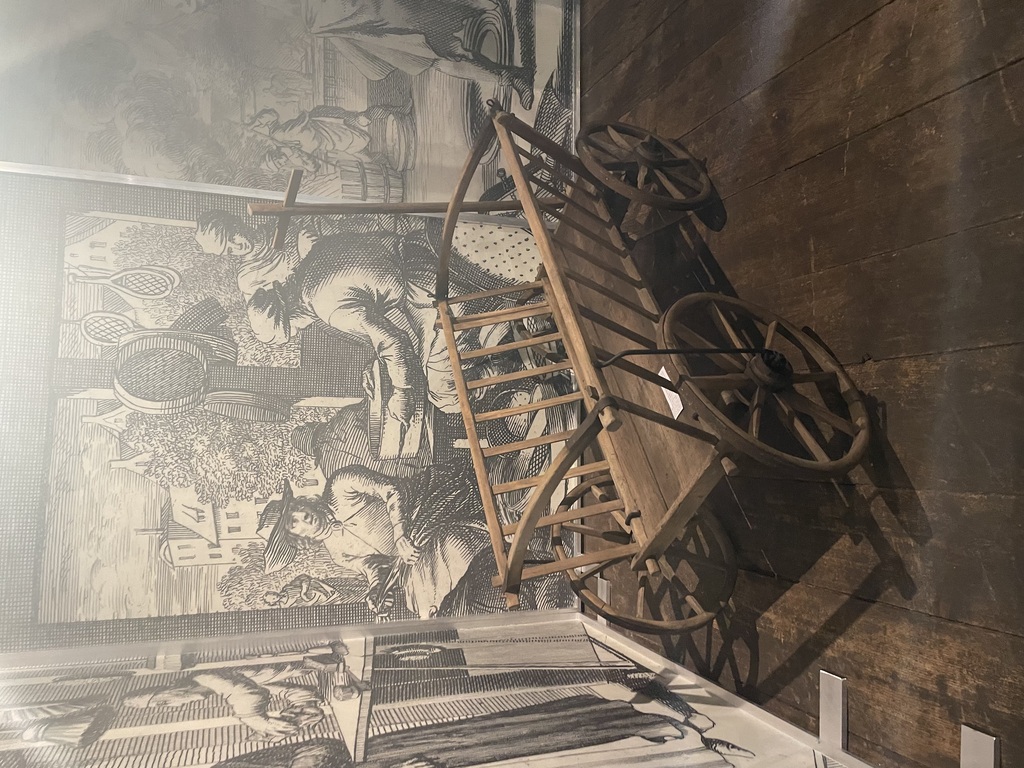 OBJEVOVÁNÍ VOLYNĚ